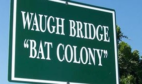 Bat Colony Sign